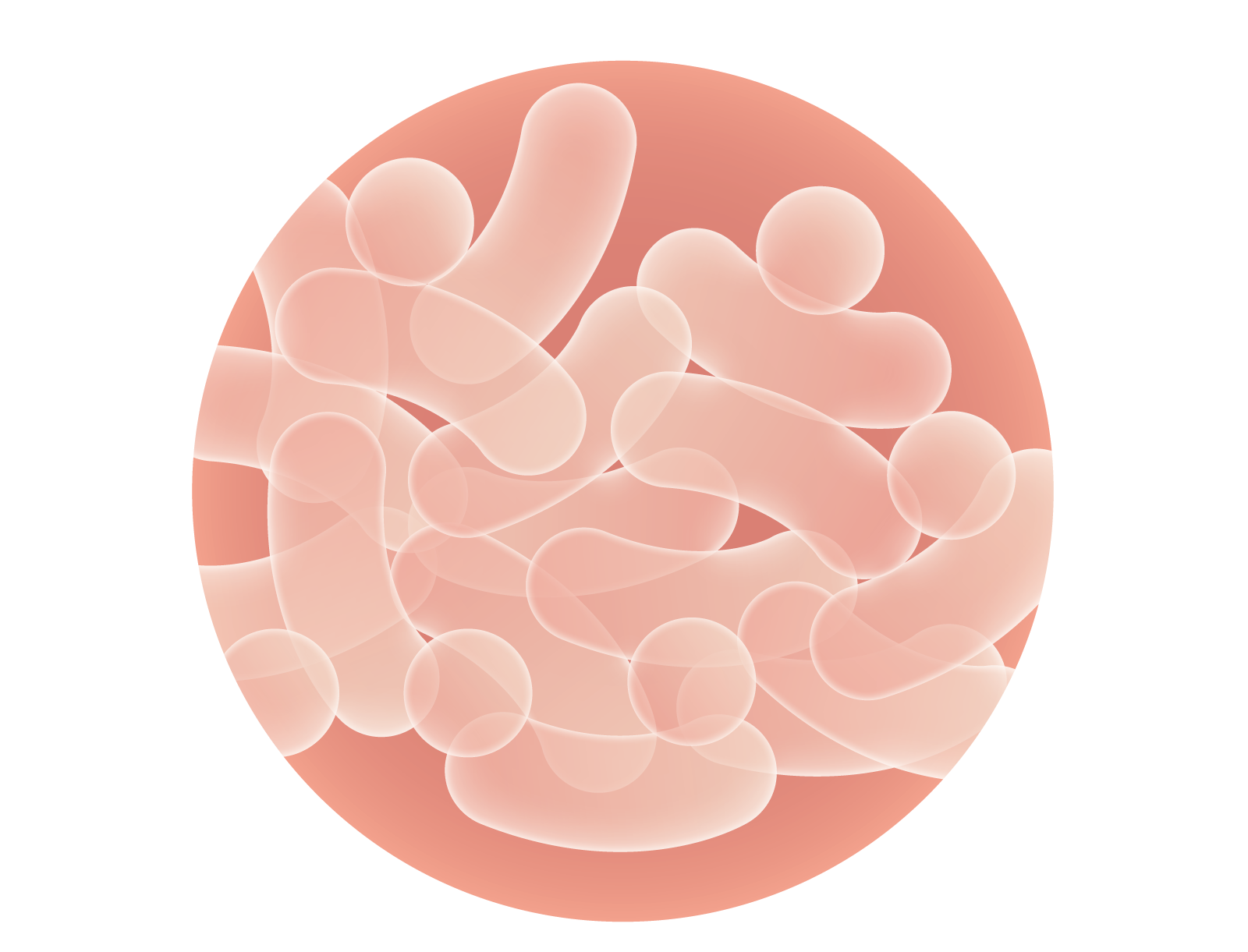 AbJ[}VAۃTvƂ́HʁEIѕ̓O