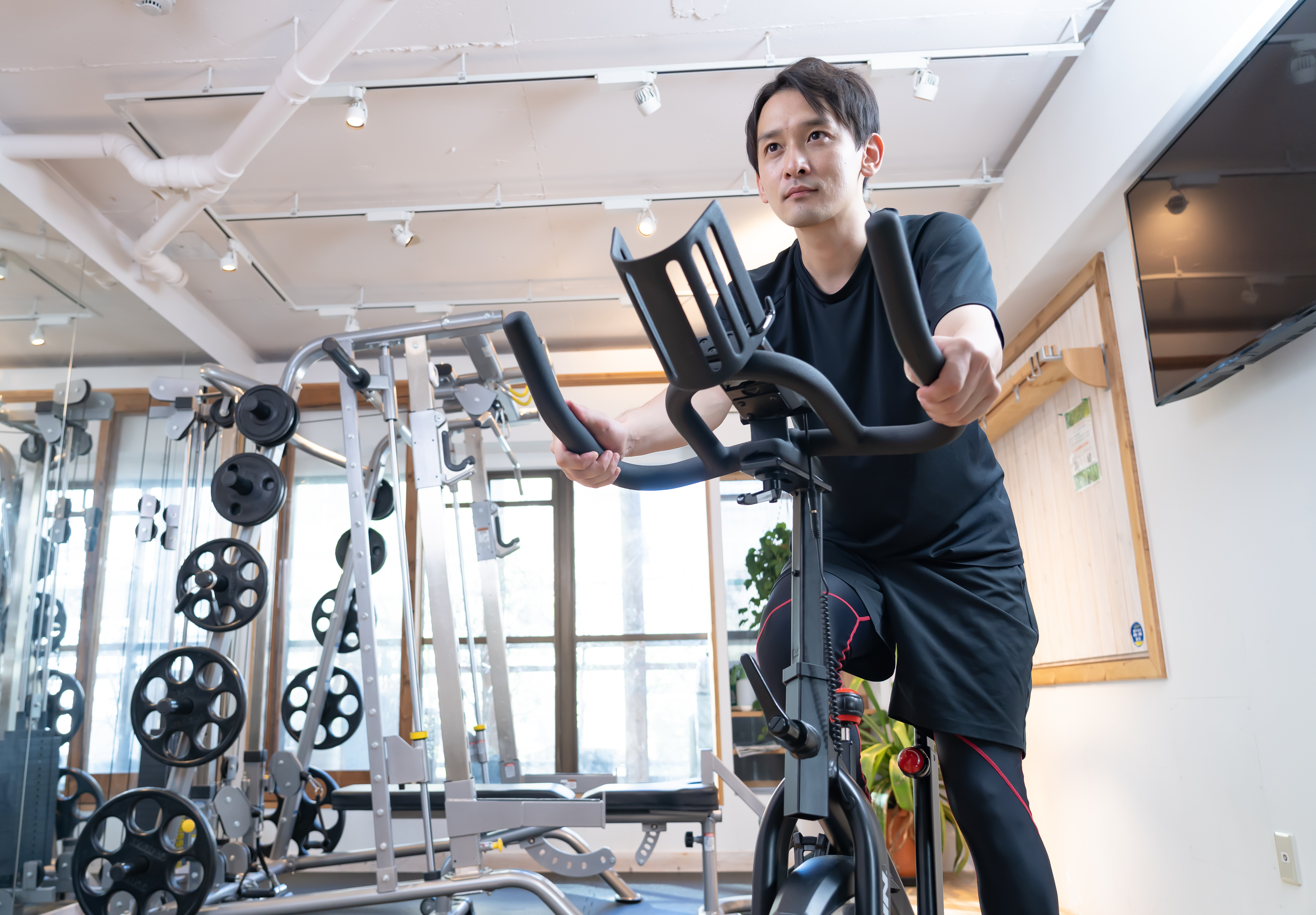 ܂Ƃ߁Fx[^AjŃptH[}XőɈo