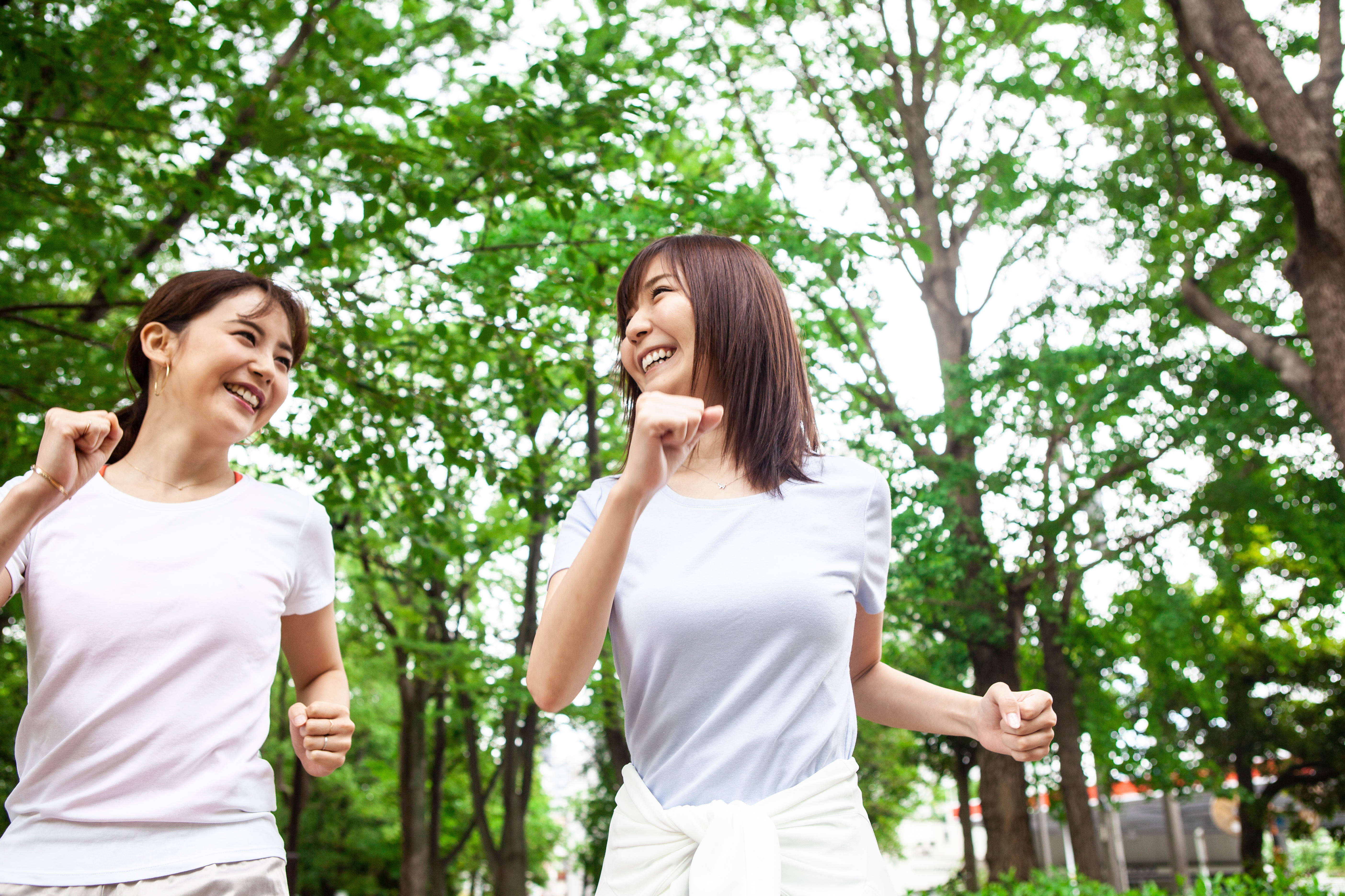 ܂Ƃ߁Fh{oX𐮂ČNȐĝÂ