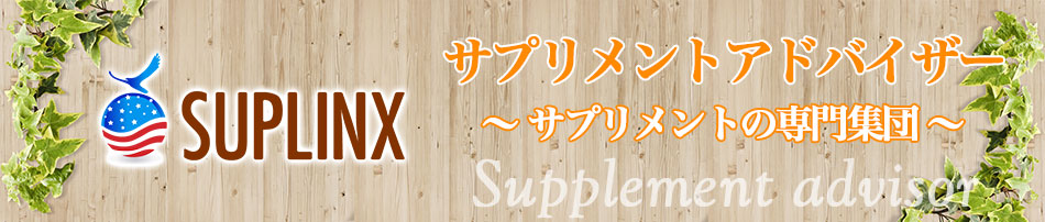 �T�v�������g�A�h�o�C�U�[ �` �T�v�������g�̐��W�c �`