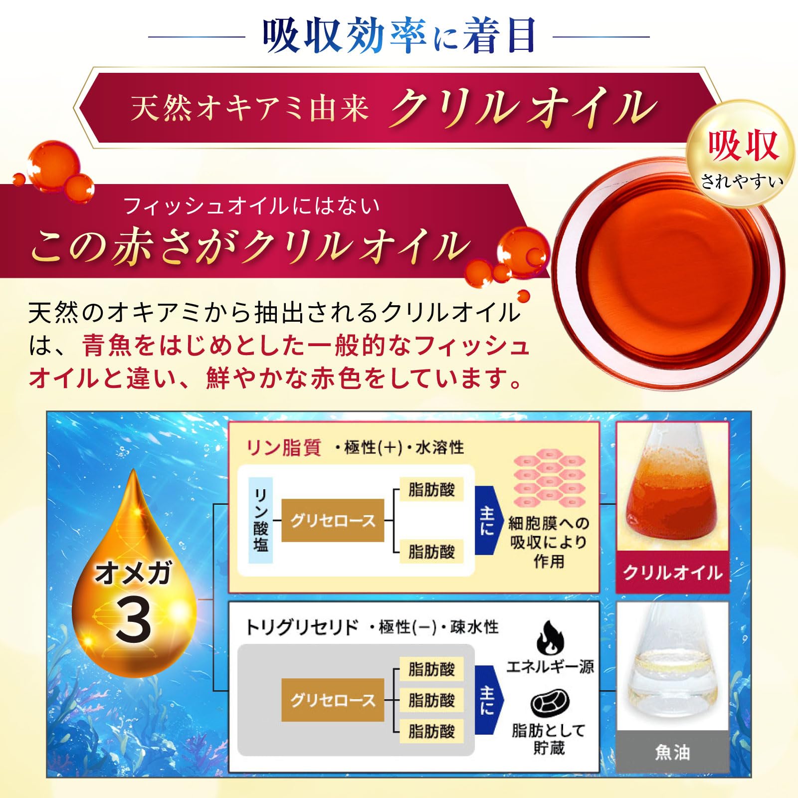 �N�����L���O