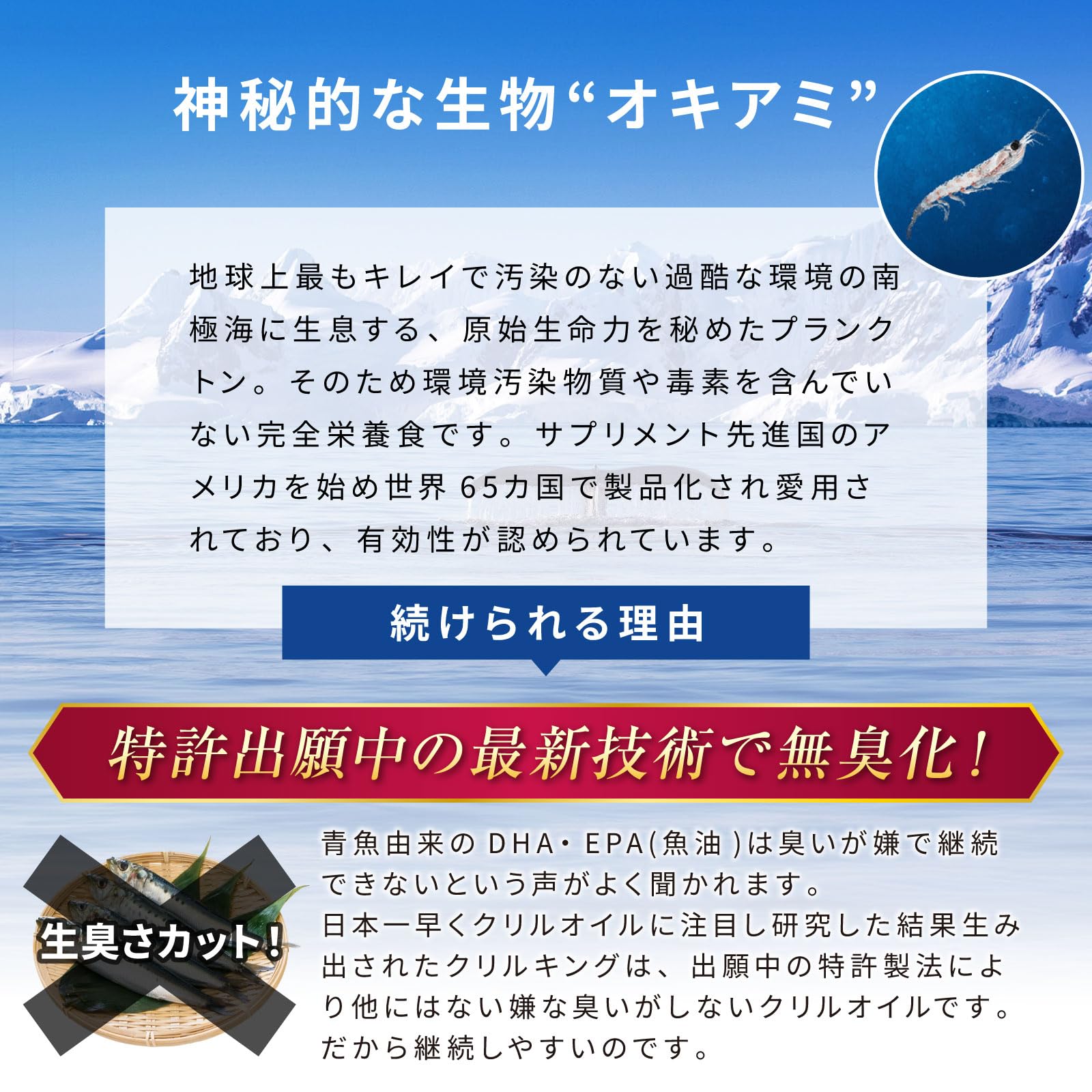 �N�����L���O