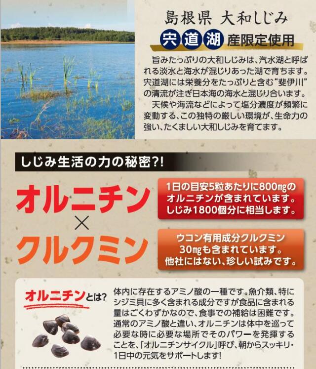 �����ݐ������邭�݂�Ղ炷