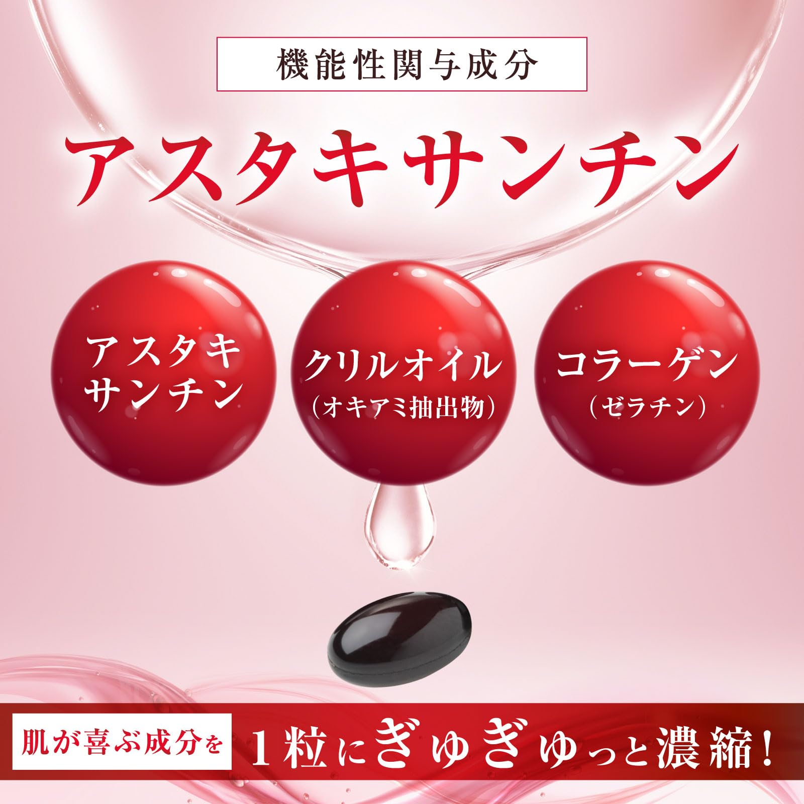 ���L�T���`��