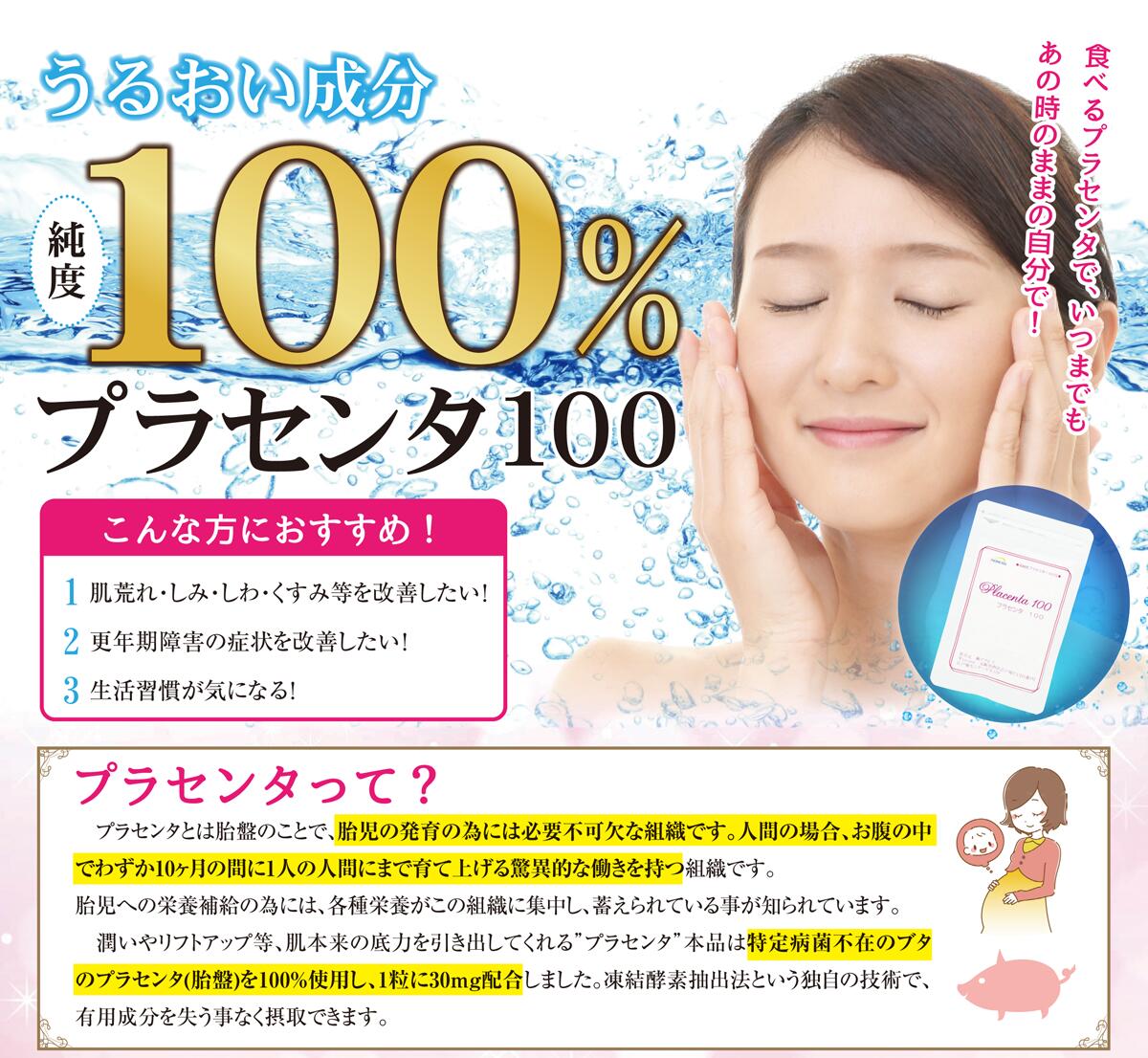 �v���Z���^100