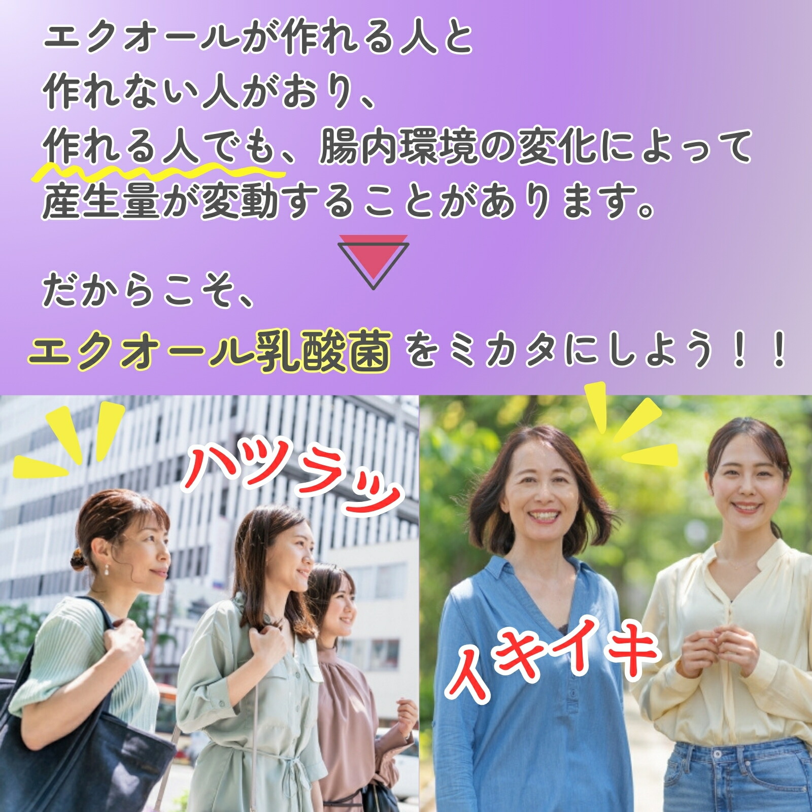 �G�N�I�[���C�\�t���{���O�m