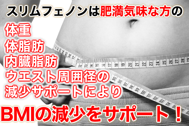 �X�����t�F�m���i��񂲗R���v���V�A�j�W���j90���y�@�\���\���H�i�z