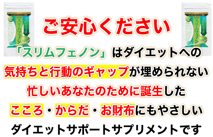 �X�����t�F�m���i��񂲗R���v���V�A�j�W���j90���y�@�\���\���H�i�z