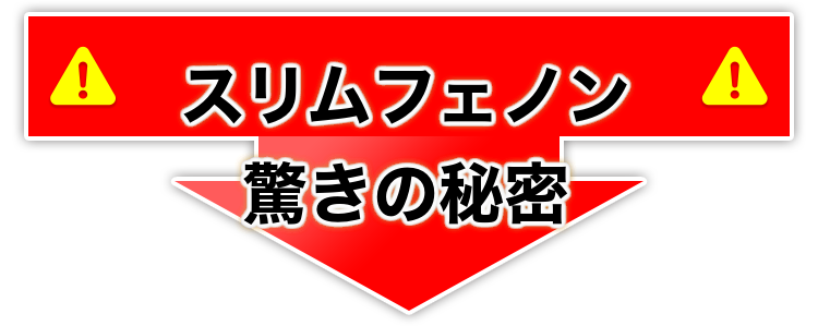 �X�����t�F�m���i��񂲗R���v���V�A�j�W���j90���y�@�\���\���H�i�z