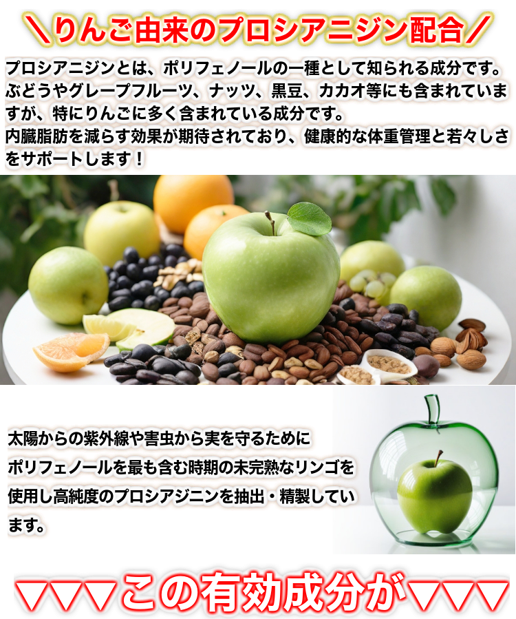 �X�����t�F�m���i��񂲗R���v���V�A�j�W���j90���y�@�\���\���H�i�z