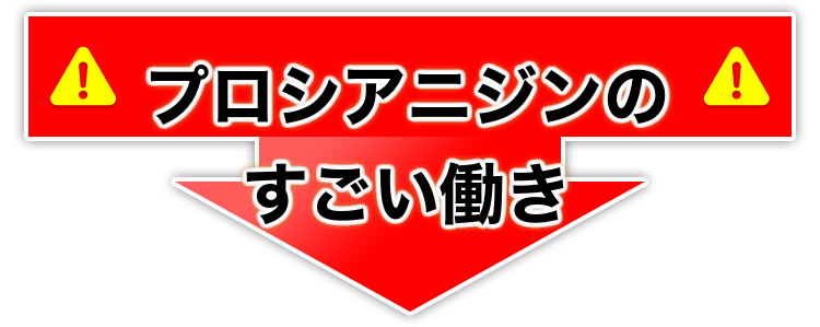 �X�����t�F�m���i��񂲗R���v���V�A�j�W���j90���y�@�\���\���H�i�z