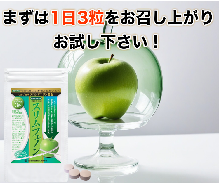 �X�����t�F�m���i��񂲗R���v���V�A�j�W���j90���y�@�\���\���H�i�z