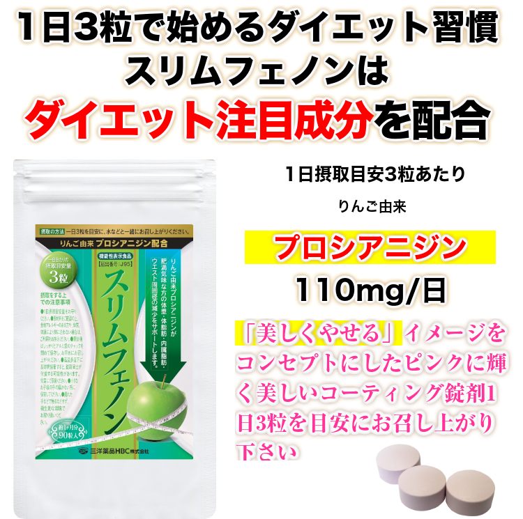 �X�����t�F�m���i��񂲗R���v���V�A�j�W���j90���y�@�\���\���H�i�z