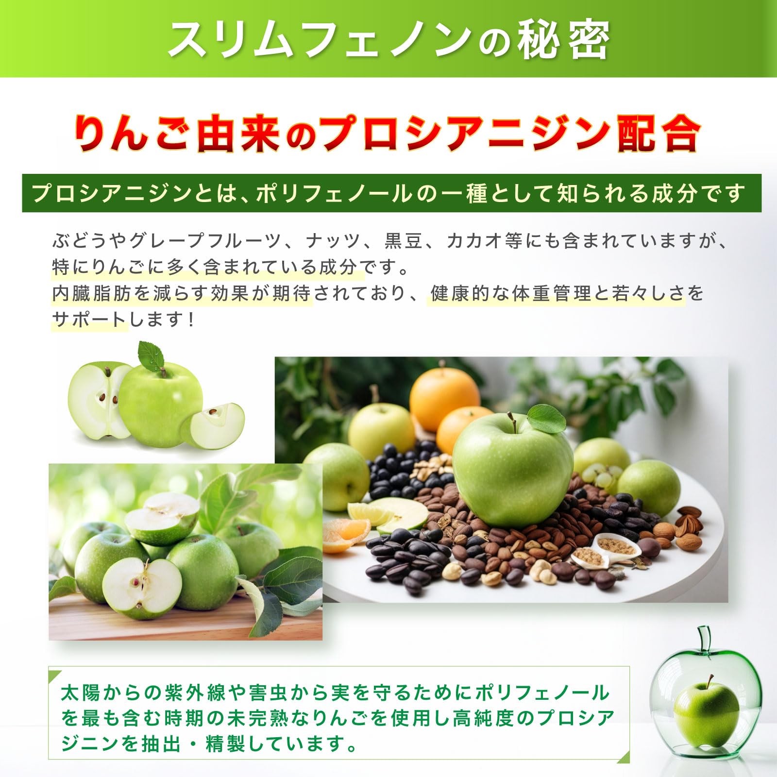 �X�����t�F�m���i��񂲗R���v���V�A�j�W���j90���y�@�\���\���H�i�z