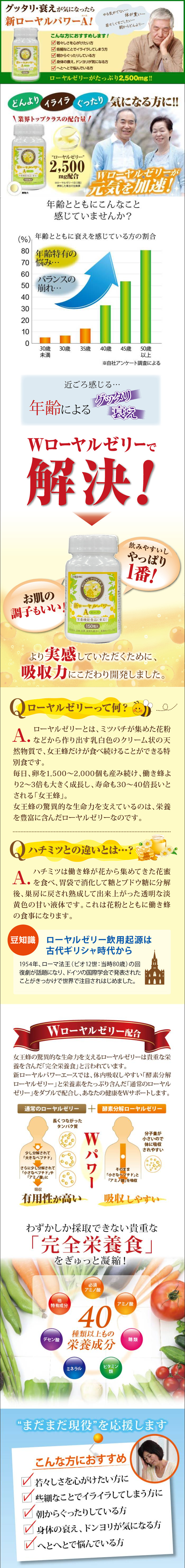 �V���[�����p���[A�i���[�����[���[�A�����z���j
