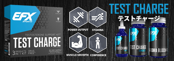 テストチャージキット/Test_Charge_Kit