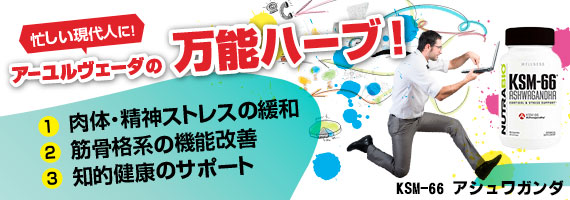 KSM-66 アシュワガンダ