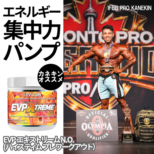 EVP �G�L�X�g���[�� N.O.