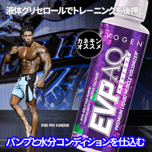 EVP AQ ���L�b�h�O���Z���[��