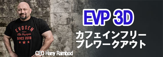 EVP 3D �J�t�F�C���t���[ �v�����[�N�A�E�g�b�p���v�E�����E�W���͂�