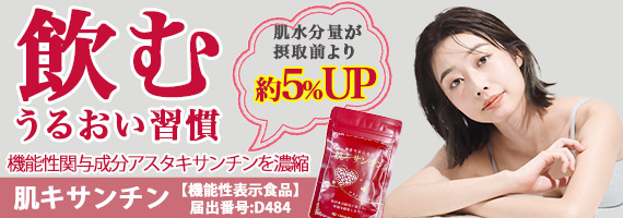 ���L�T���`���y�@�\���\���H�i�z