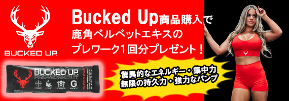 バックドアッププレゼント