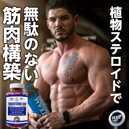 ターケステロン （ツルケステロン/トルケステロン） 650 60粒 Turkesterone 650 Hi Tech Pharmaceuticals  スポーツニュートリションサプリメント専門店！海外サプリメント通販【サプリンクス】