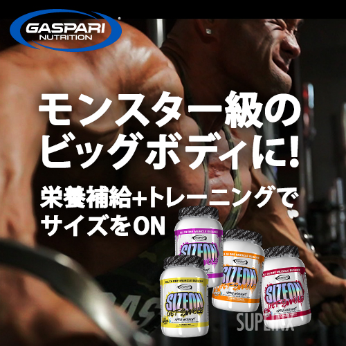 アミノ酸2個セット売り　GASPARI ギャスパリ　サイズオン　オレンジクーラー