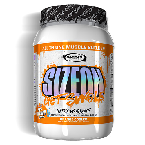 gaspari sizeon オレンジクーラー - その他