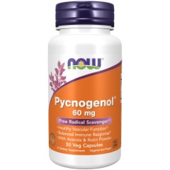 ̔IsNmWFm[ 60mg tXCݏGLXEAZ`z 50 Pycnogenol NOWiiEj