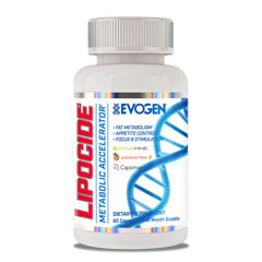 ���|�T�C�h ���^�{���b�N�A�N�Z�����[�^�[ 60�� Lipocide EVOGEN�i�G�{�W�F��/�G���H�W�F���j