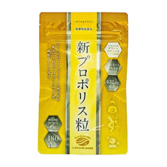 �y���������z�V�v���|���X���i�u���W���Y�O���[���v���|���X���z���j 180��