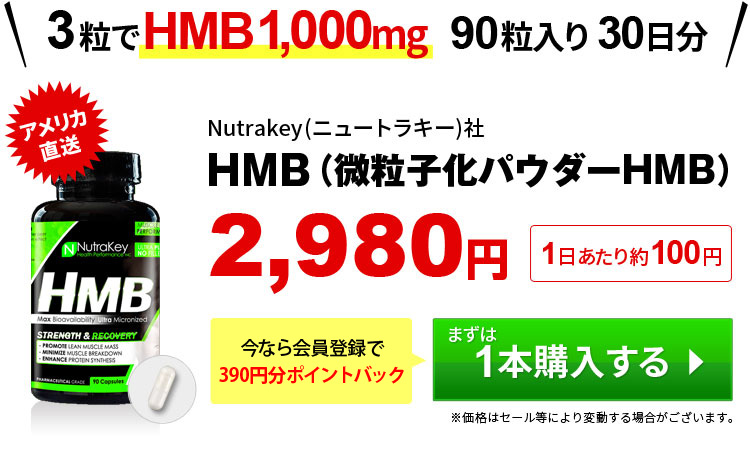 通常購入はこちら