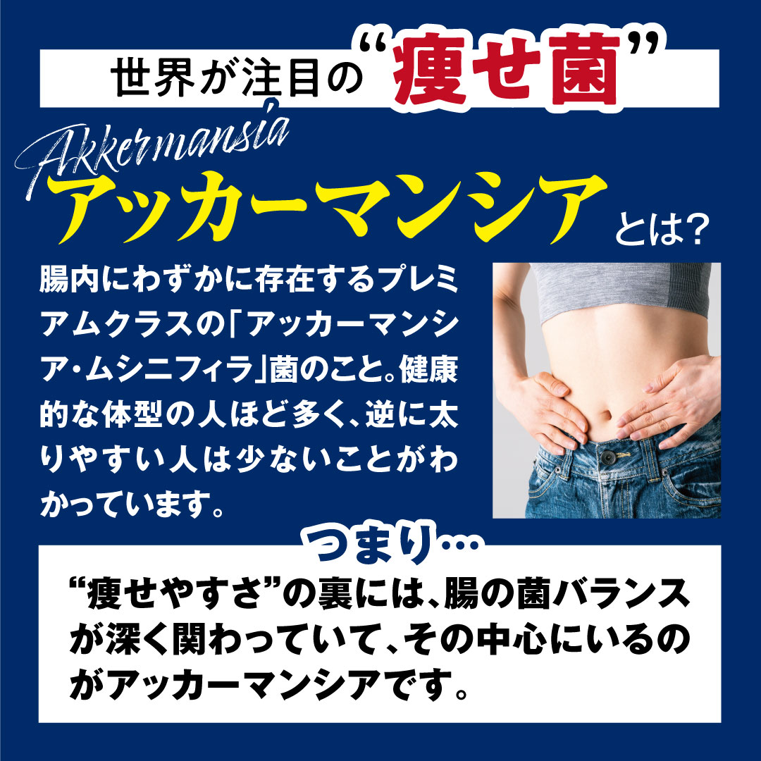 �A�b�J�[�}���V�A