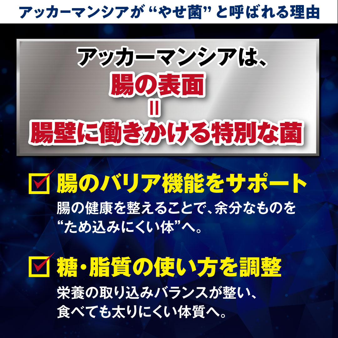 �A�b�J�[�}���V�A