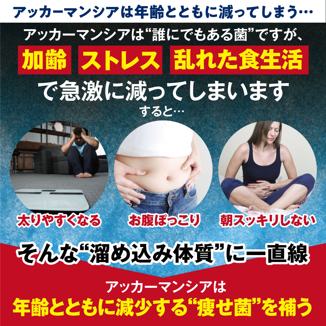 �A�b�J�[�}���V�A