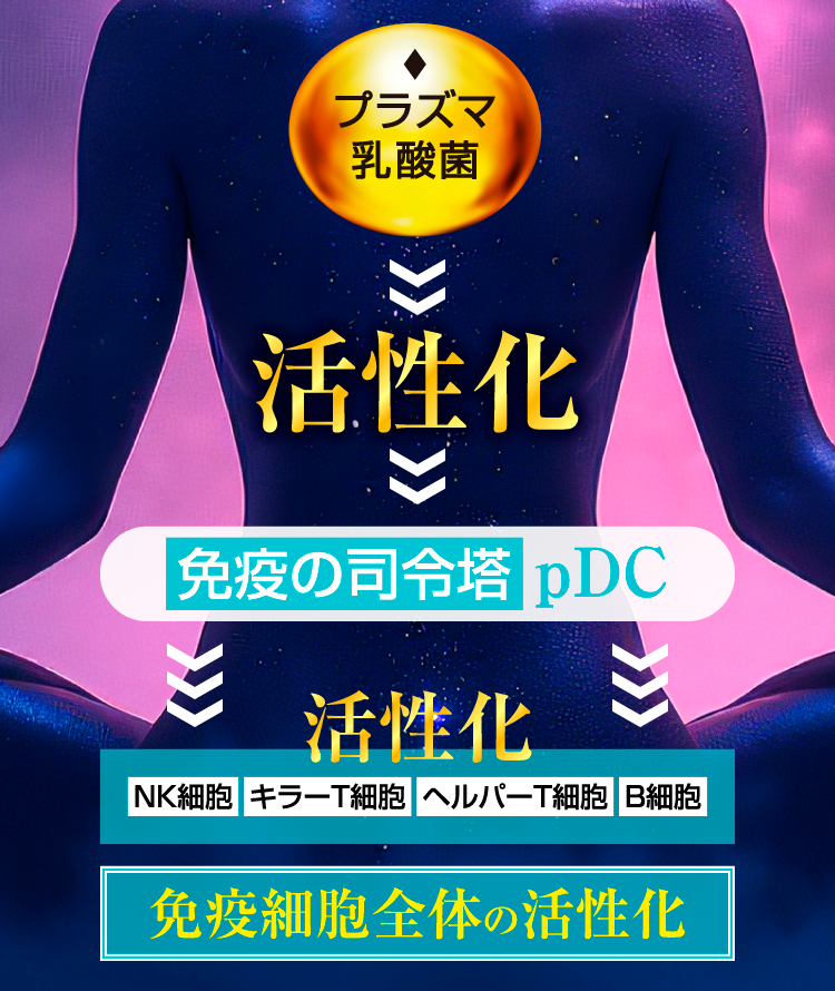 青玉プレミアム