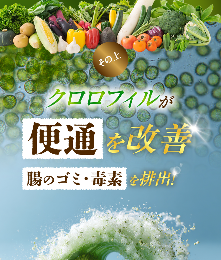 青玉プレミアム