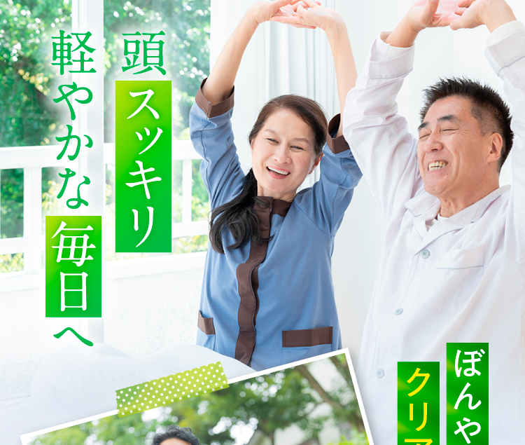 青玉プレミアム