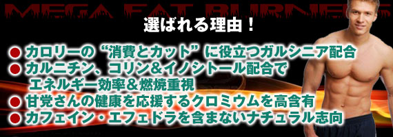 メガファットバーナーズ