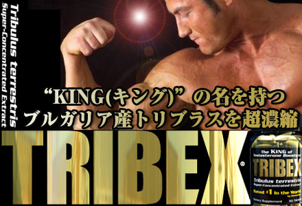 トリベックス 50粒(スーパー濃縮トリブラスエキス/テストステロンブースター)